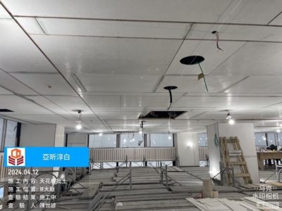 淳白