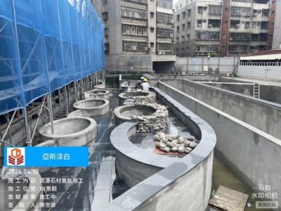 淳白