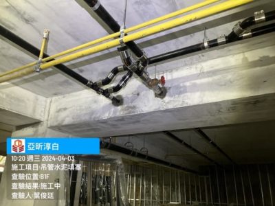 淳白
