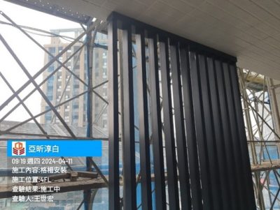 淳白