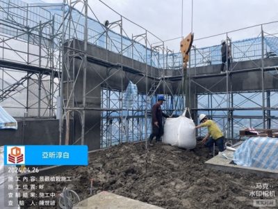 淳白