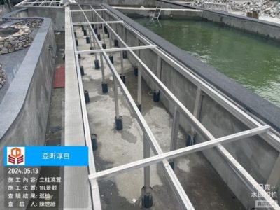 淳白
