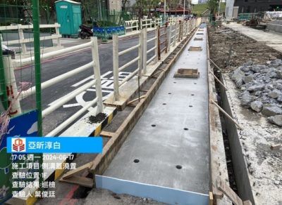 淳白