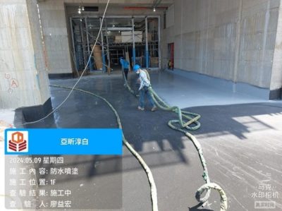 淳白