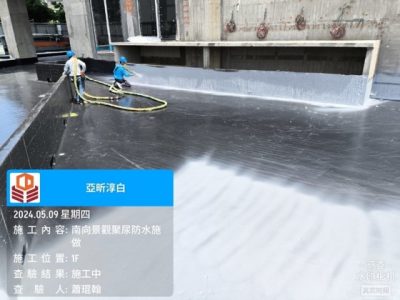 淳白
