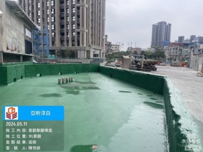 淳白
