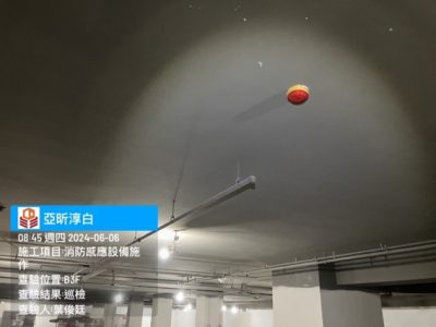 淳白