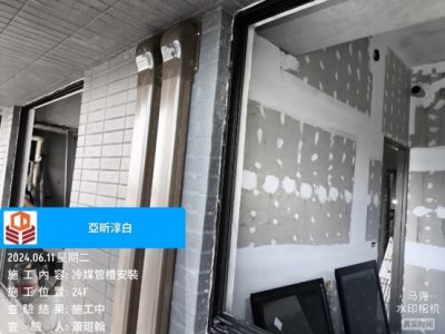 淳白