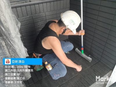 淳白