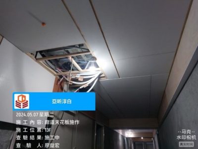 淳白
