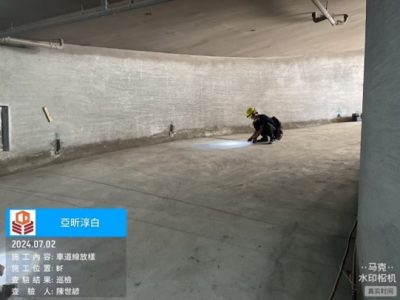 淳白