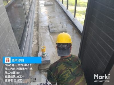 淳白