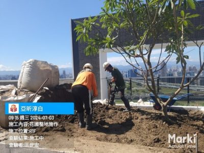 淳白