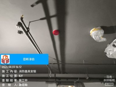 淳白