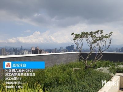 淳白