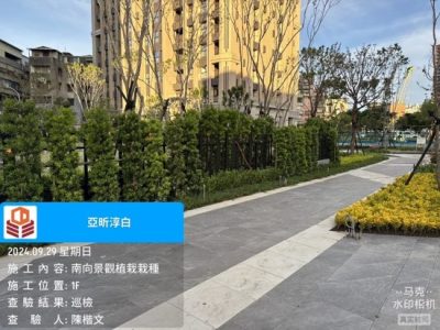 淳白