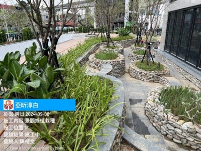 淳白