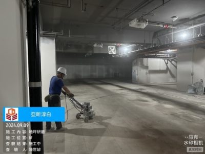 淳白