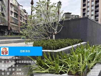 淳白