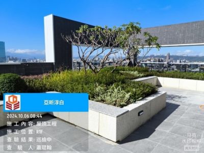 淳白