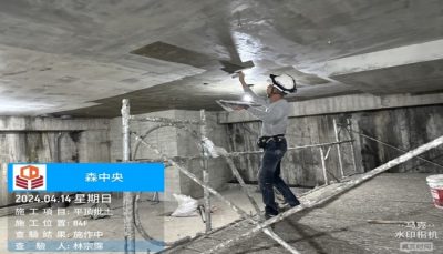 森中央